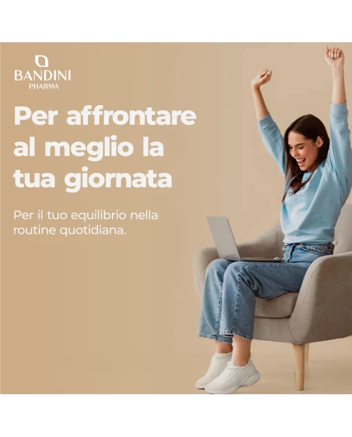Chaga - 366 compresse